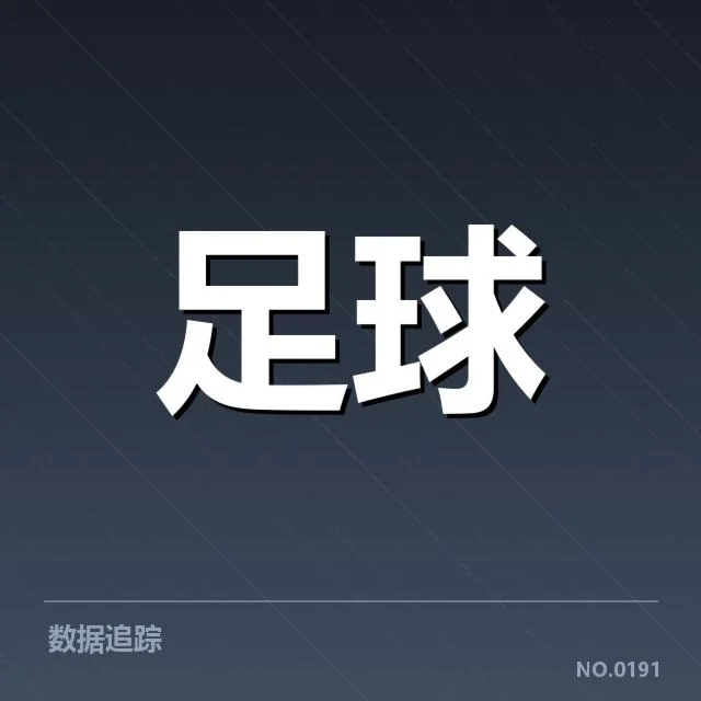 申花财政真实数据与资金流确认